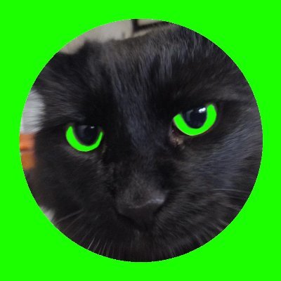 ken10043240977's profile picture. 