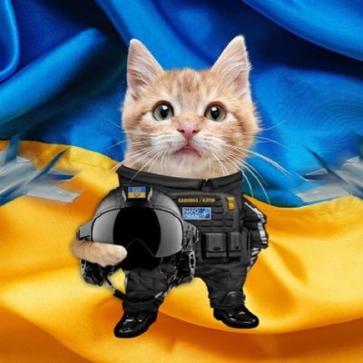 Irish Canadian 🇨🇦🇮🇪. 🇺🇦. BE BRAVE LIKE UKRAINE #NAFOCatsDivision. donate: https://t.co/yiDulXe683 NAFO Old Curmudgeons, https://t.co/9OUoSZ0xAs