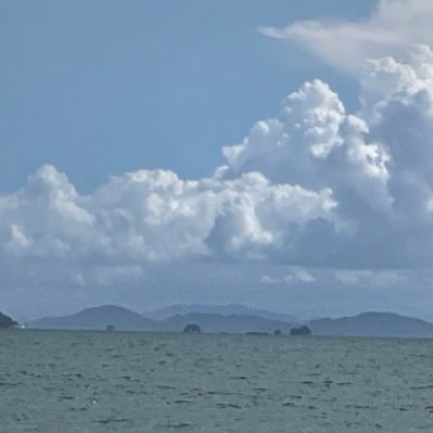 tokotokoarukuto's profile picture. アプリ『あるくと』で歩く人です。