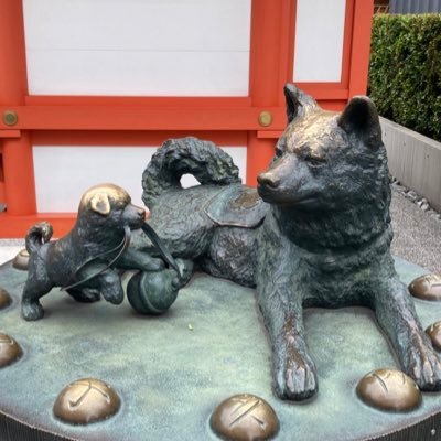 buu0890's profile picture. PhD student/cancer/lymphoma/lab ani/🧬🧫🐀