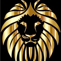 Leon Maxi (@leonmaxi95) 's Twitter Profile