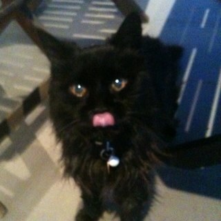 T1nas's profile picture. 