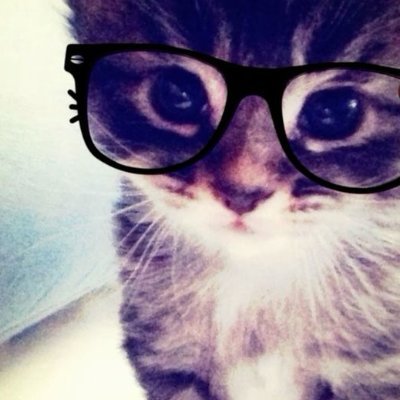 jmrvluv's profile picture. single