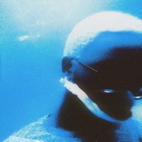 T3AGRAY (@t3agray) 's Twitter Profile
