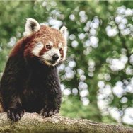 お金に恵まれる方法やおトクな情報など共有したりしています。私自身お金に苦労したのでお金に困っている人を助けたいと思い、僅かですが現金給付企画を始めました! 支援中⇒ https://t.co/XDMKUHCPwA