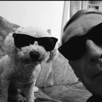 John Mcc 🙋➕️🐶 Buddy. 💚☘️ (@johnmcc06501251) 's Twitter Profile