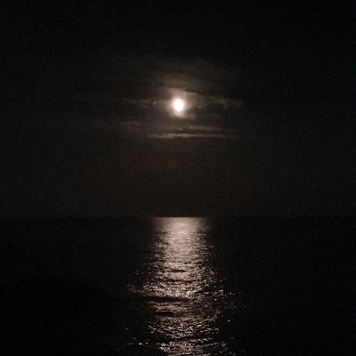 cricri_zeddy's profile picture. Et la couleur s'estompe.