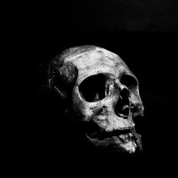 gonplei ste odon (@shaphat_) 's Twitter Profile Photo gonplei ste odon (@shaphat_) 's Twitter Profile Photo