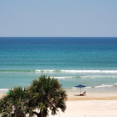 mandybfl's profile picture. Maga Conservative voted for Trump 3 times. Maha Make America healthy again. Make America Sane Again. Trump 2024. No DMs. IFBAP.