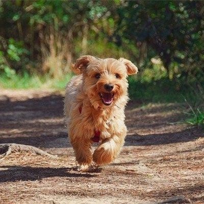 お金に愛される秘訣やお得情報など教えたりしています。自身がお金に苦労したので生活に困っている人の力になれればと思い、多少ですが現金プレゼント企画をしています☆ フォロワーさん優先⇒ https://t.co/OXRuP5mX82
