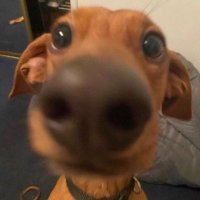 ︎ ︎Doubt (@doubtnyc) 's Twitter Profile