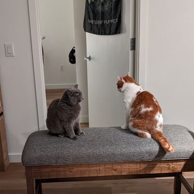 b_kalafat's profile picture. "Stay awhile and listen" 
https://t.co/C4rqpgwTAj
https://t.co/PDiPnrBeks