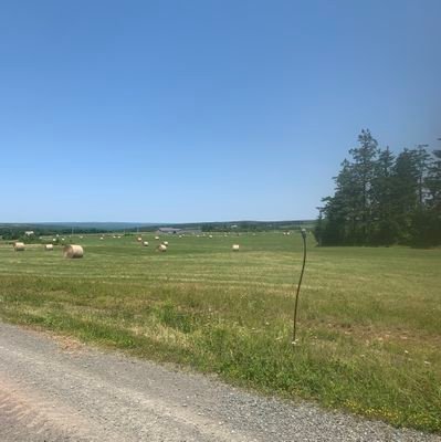 WattsM7249's profile picture. 