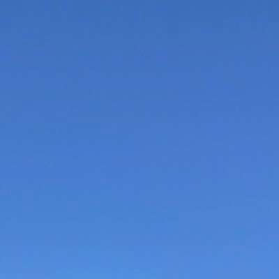 こっとんさんのプロフィール画像