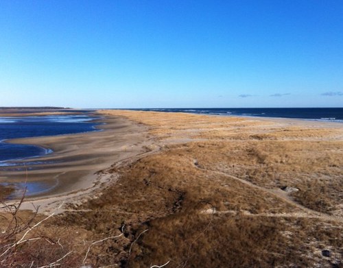 phoc66's profile picture. 