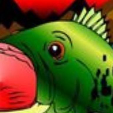 @bassmasters25
