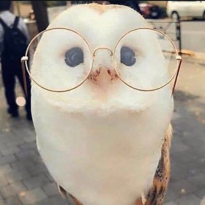 Skyeさんのプロフィール画像