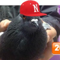 Koolaid Juul Pod (@koolaidjuulpod) 's Twitter Profile