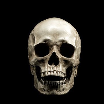 mysticcornbread's profile picture. 