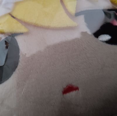 んるるきさんのプロフィール画像