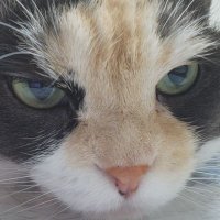 はやと (@hayato_03_08) 's Twitter Profile