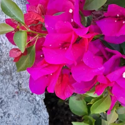 Tm_pv19's profile picture. 