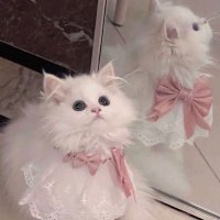 もち (@mm_t_y_mm) 's Twitter Profile Photo もち (@mm_t_y_mm) 's Twitter Profile Photo