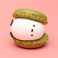 冬子✦初回プロカ必読 (@fuyu___haru) 's Twitter Profile Photo 冬子✦初回プロカ必読 (@fuyu___haru) 's Twitter Profile Photo