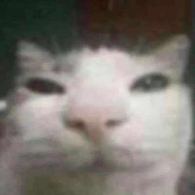 CatLovingKro's profile picture. 🏳️‍⚧️ | 23 — Multifandom Writer! | He/They