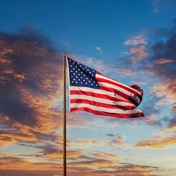 Tim51218500's profile picture. 