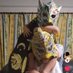 大阪プロレスが好き過ぎる兄弟 (@7nywhhrunf92821) Twitter profile photo 大阪プロレスが好き過ぎる兄弟 (@7nywhhrunf92821) Twitter profile photo