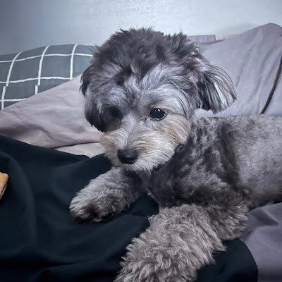 DoorimC52446's profile picture. 