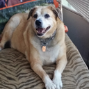 Jon Sterling - @JSterling55563 - Twitter