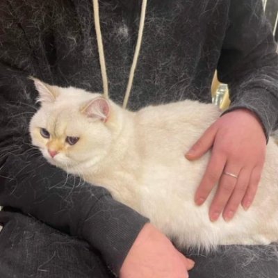 L1aw1w1's profile picture. 