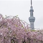 Aiko1911868937's profile picture. 収入アップの秘訣や有益情報など発信中。私自身お金に苦労したので生活に困窮している方の力になれればと思い、多少ですが現金配布企画をしております♬ フォロワーさん優先⇒ https://t.co/mMqhn7mPIw