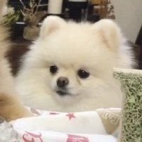 C01_R3's profile picture. 예비로또당첨자