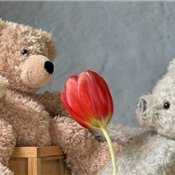 副業の成功法を発信中。副業を始めてみたい人に役立つ情報を提供。わずかですがプレゼント企画も実施しております☆ 支援中▶ https://t.co/m472gYA9mF