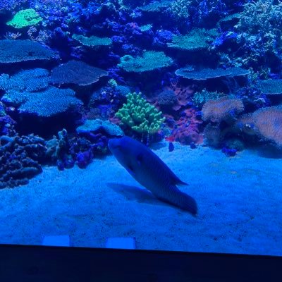 drop7911416's profile picture. 