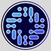 Elite Dental Force LLC (@elitedentalforc) Twitter profile photo Elite Dental Force LLC (@elitedentalforc) Twitter profile photo