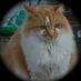 nekomushibito ็ซ่ซไบบ๐บ๐ธ๐ฏ๐ต (@owlman11137) Twitter profile photo nekomushibito ็ซ่ซไบบ๐บ๐ธ๐ฏ๐ต (@owlman11137) Twitter profile photo