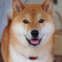 ジパング (@jsxlyionhfmdwjc) 's Twitter Profile