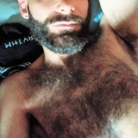 ScruffyCub (@scruffycubb) 's Twitter Profile Photo ScruffyCub (@scruffycubb) 's Twitter Profile Photo