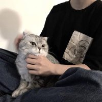Alex arbot (@alexarbot) 's Twitter Profile
