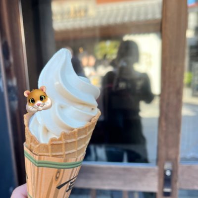 HommaSawa78250's profile picture. ✿✿✿✿