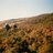 wool_strings's profile image