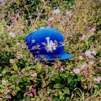 D (@thruthepaint) 's Twitter Profile