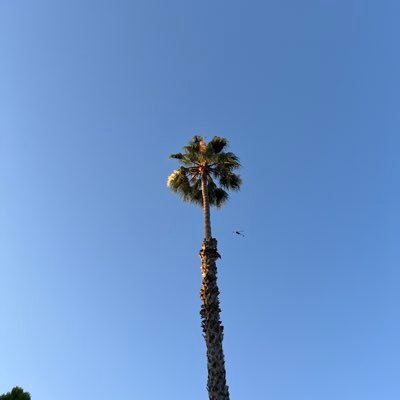 tomasjung's profile picture. 