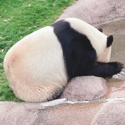 りんた＠サブ (@idol_ticket_02) / Posts / X