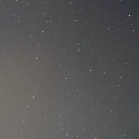 bee (@bee051908) 's Twitter Profile