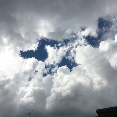 triple_jumping's profile picture. ダーツウマクナリタイネ🎯🎯